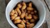 Maggots in a bowl