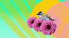 A bird sitting on flowers