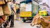 'No intensive UK driving courses could prepare a person for the unpredictability of Indian roads.'