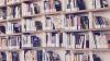Books on shelves 