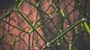 Green rope meshwork symbolising the integration of power