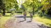 A young woman and a young man cycle along a tree lined path in a park on a sunny day.