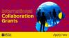International Collaboration Grants