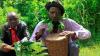 Two men with drums and plants