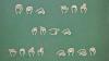 'According to our brains, not all language is spoken or written.'