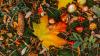 Autumn leaves, pine cones and conkers lying on the grass