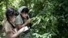 Two girls studying plants in a woodland