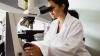 A female researcher using a microscope in haematology lab