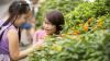 Teacher showing pupil flowers