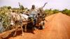 A woman drives a donkey cart loaded with firewood back to the Zorro village, Burkina Faso. Image (c) Ollivier Girard for CIFOR, licensed under CC BY-NC, adapted from the original.